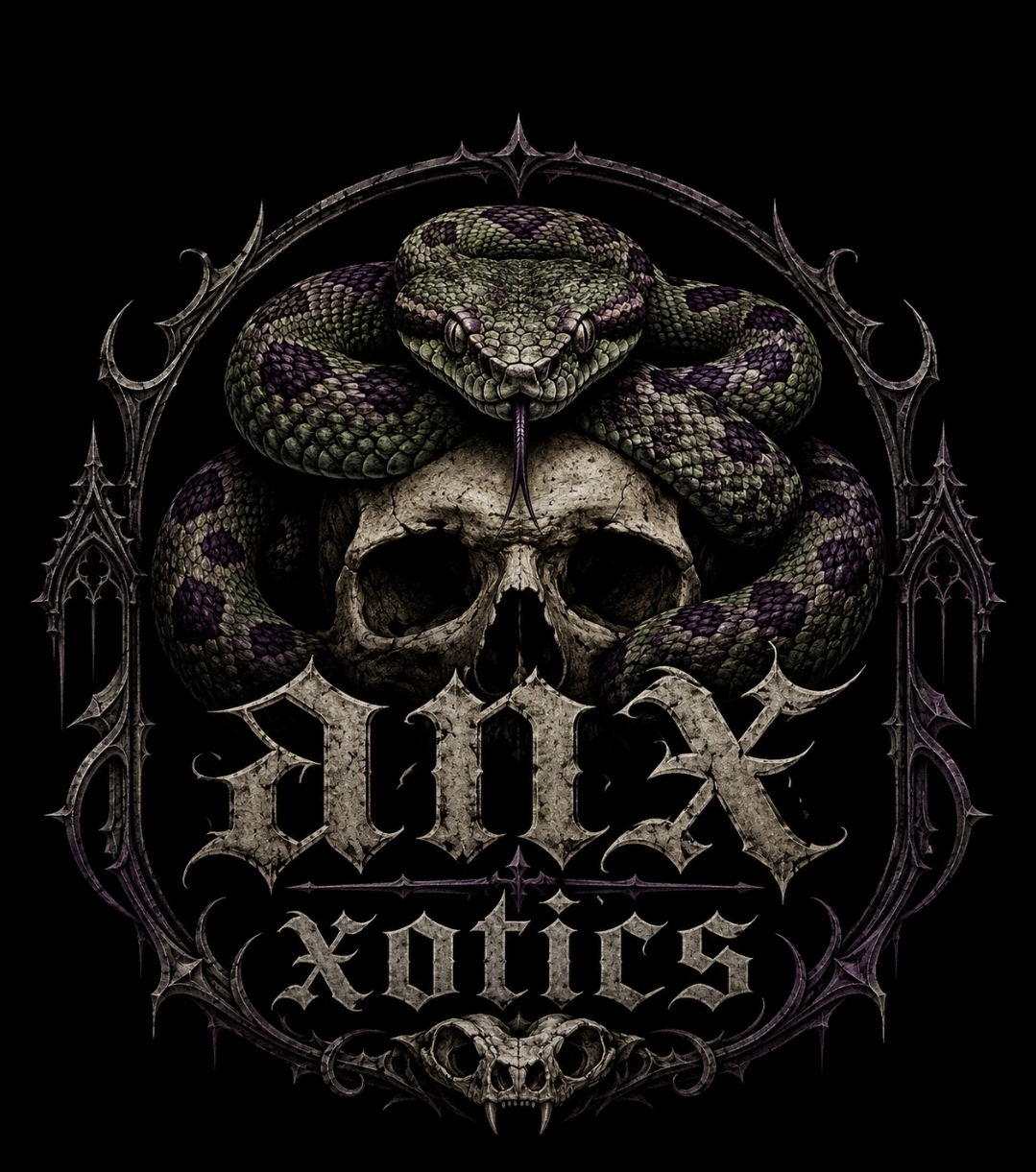 ANXXOTIC Logo